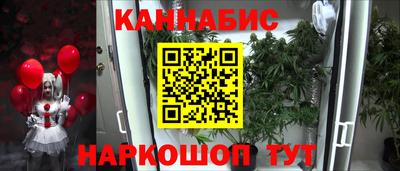 PSILOCYBIN Владимир