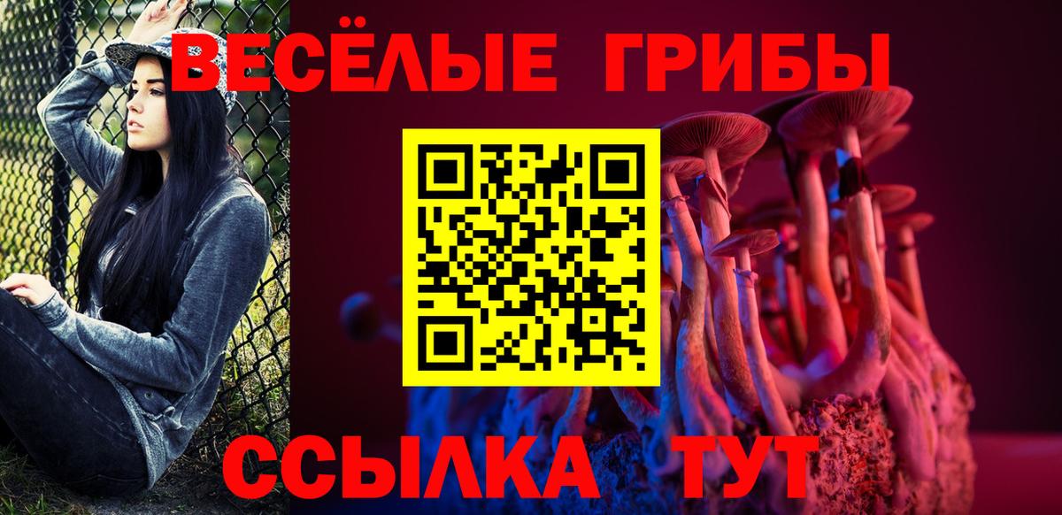 Псилоцибиновые грибы Magic Shrooms Тихвин