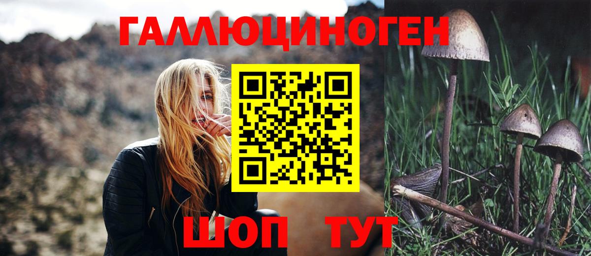 Псилоцибиновые грибы GOLDEN TEACHER  Вход с VPN  Тихвин 